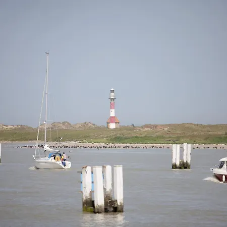 In Belgium Near Marina Port, Cleaning Included