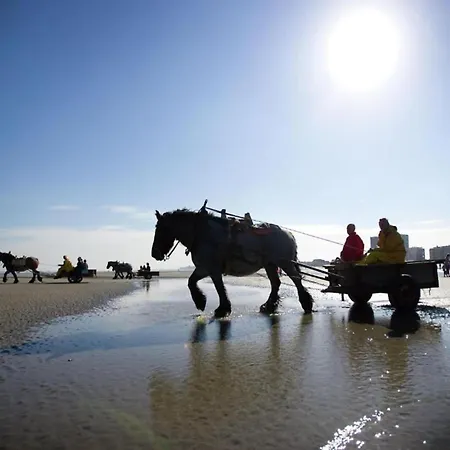 In Belgium Near Marina Port, Cleaning Included * Nieuwpoort